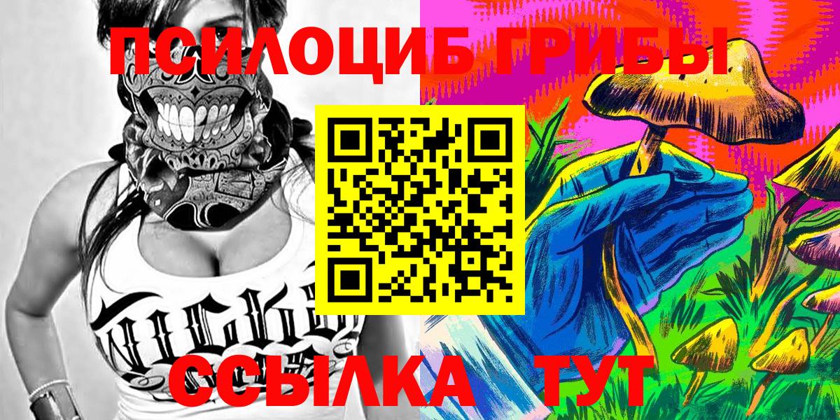 Галлюциногенные грибы Psilocybe Звенигород