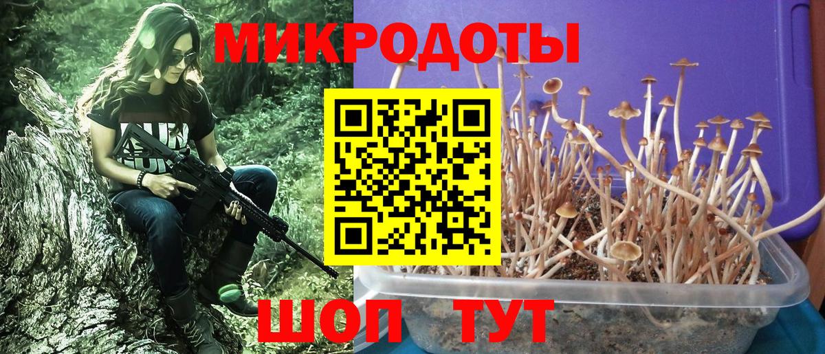 A-PVP СОЛЬ кристаллы  Звенигород  Экстази  NBOMe  Вход с VPN  Меф МЯУ МЯУ   Cocaine  Меф  Канабис  LSD-25  АМФ   Метамфетамин  Гашиш 