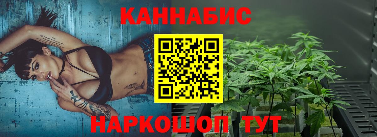 Конопля OG Kush Звенигород